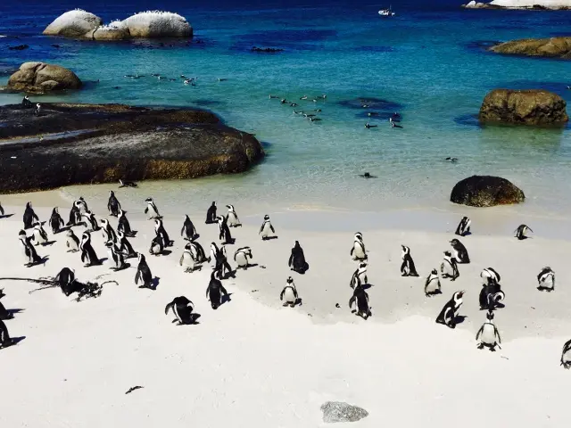 ボルダーズビーチ