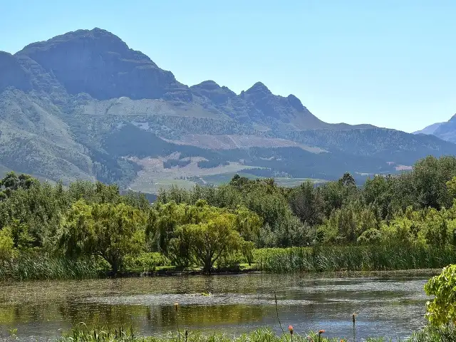 ケープタウンのワインランド