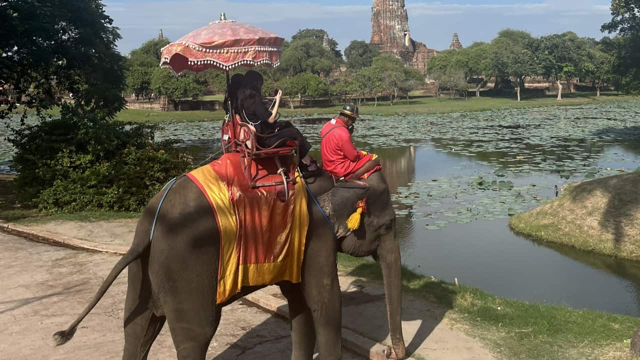 タイのエレファントキャンプ