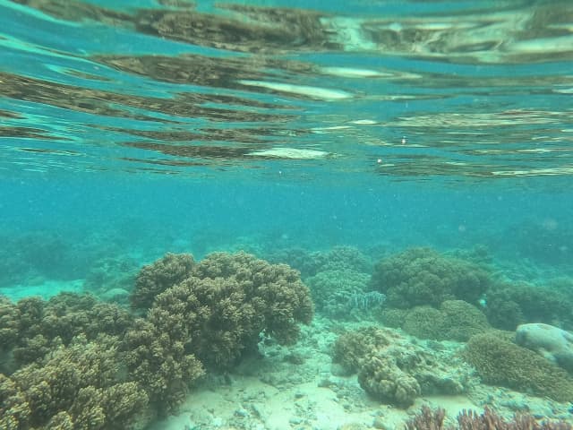 海洋保護区に指定されたスミロン島の海