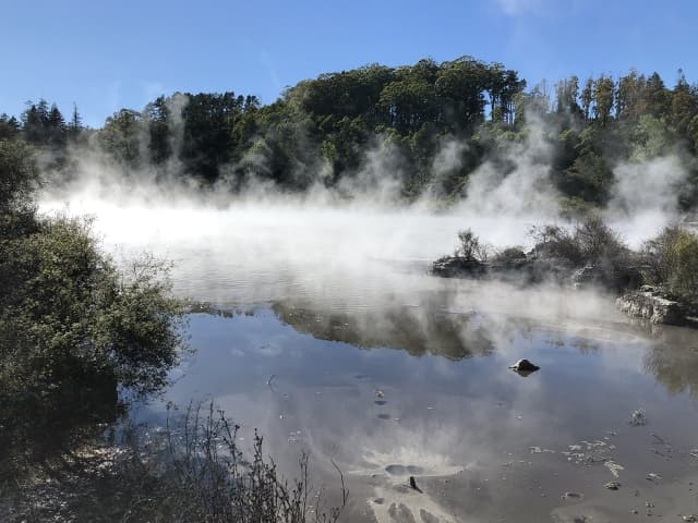 テ・プイアの泥沼