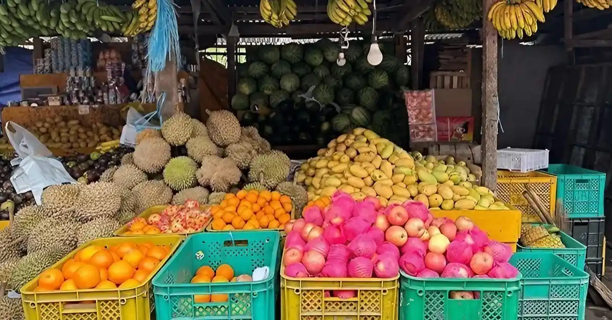 ドリアンやリンゴなどのフィリピンのフルーツ