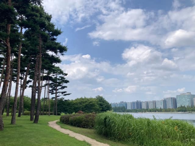 一山の街の中心にある大きな湖公園