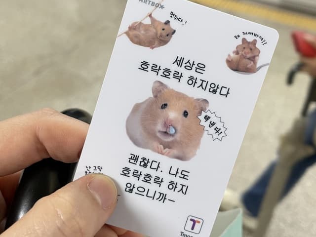 韓国の交通系ICカード