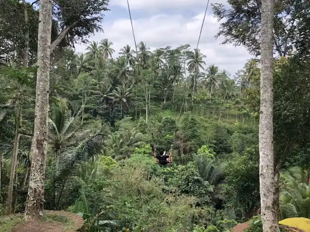 ウマ・パケル・バリ・スウィング