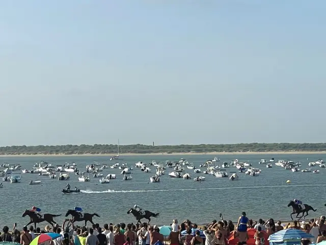 波打ち際を駆ける馬たち