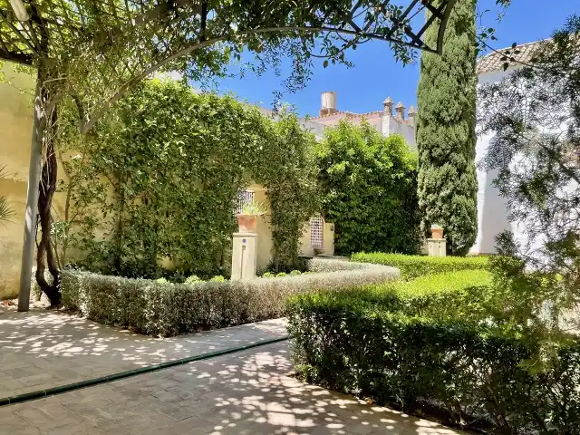 真夏の強い日差しの下でも、緑が青々と茂る中庭