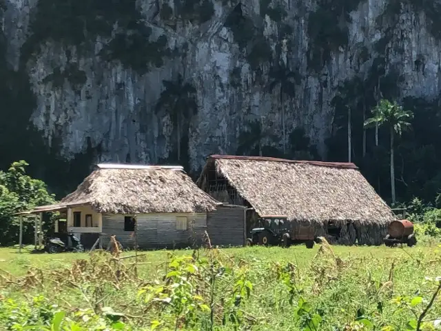 葉巻の産地ビニャーレス渓谷