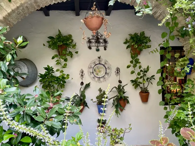 緑にあふれるパティオ