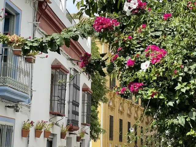 ユダヤ人街の小道